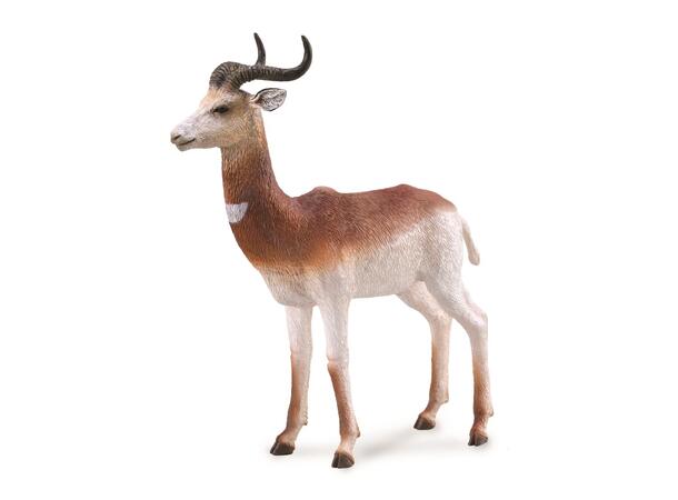 GAZELLE L COLLECTA 