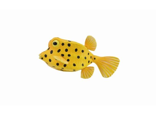 GUL KOFFERTFISK S COLLECTA 
