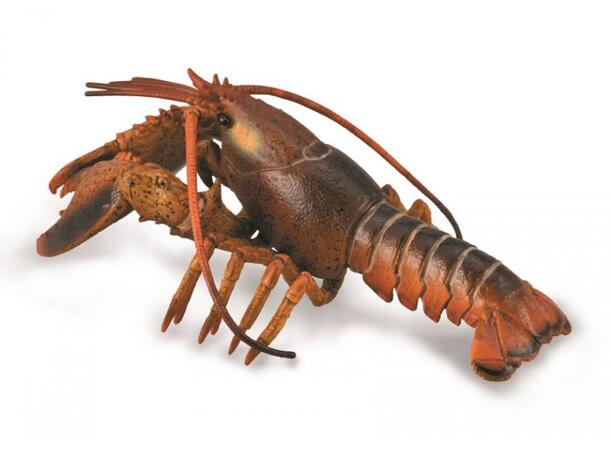 HUMMER DELUXE COLLECTA 