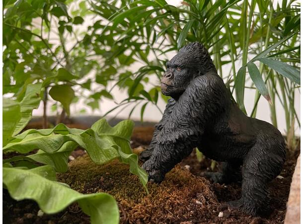 MOUNTAIN GORILLA 
