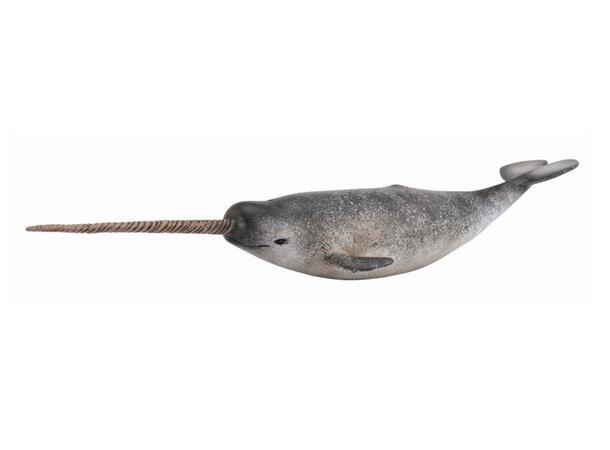NARWHAL 