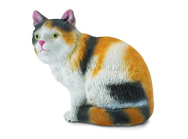 3 COLOUR HOUSE CAT 