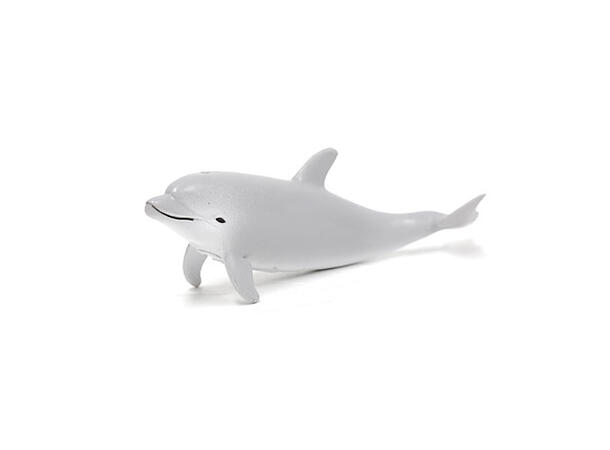 DOLPHIN CALF 