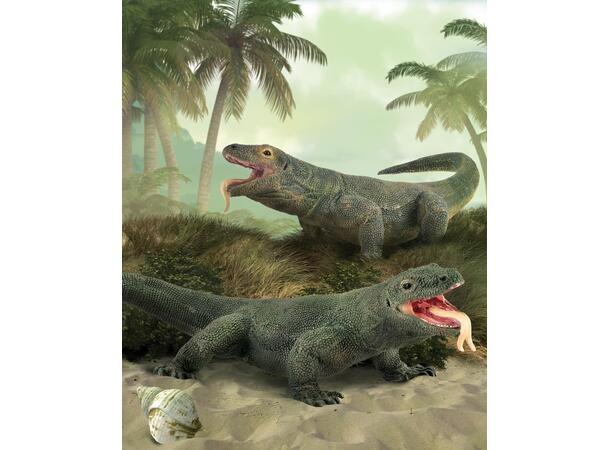 KOMODOVARAN L COLLECTA 