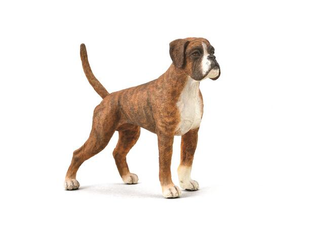 BOXER HUND L COLLECTA 