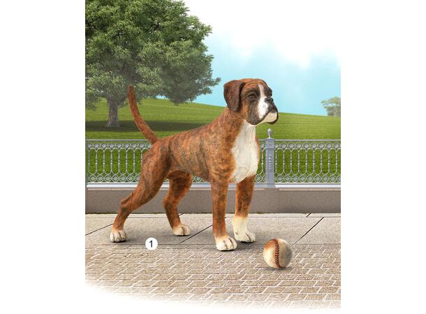 BOXER HUND L COLLECTA 