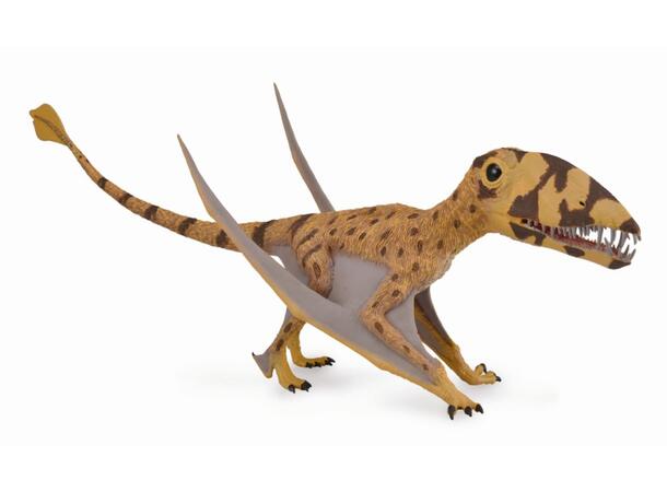DIMORPHODON 