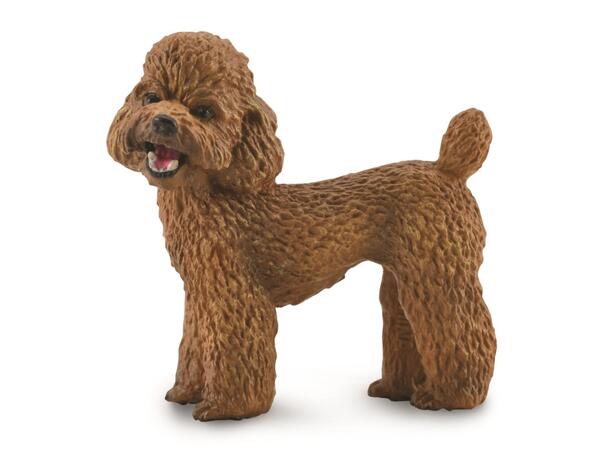 PUDDEL M COLLECTA 