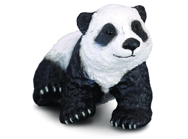 GIANT PANDA CLUB SITTING 