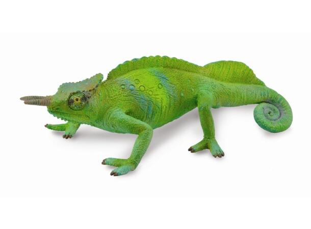 KAMELON L COLLECTA 