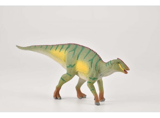 KAMUYSAURUS M COLLECTA 