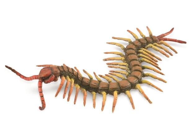 SKOLOPENDER L (18 X 3CM) COLLECTA 