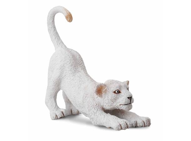 WHITE LION CUB STRETCHING 