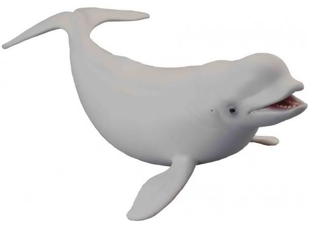 BELUGA HVAL L COLLECTA 