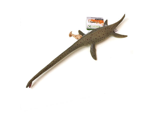 THALASSOMEDON DELUXE COLLECTA 
