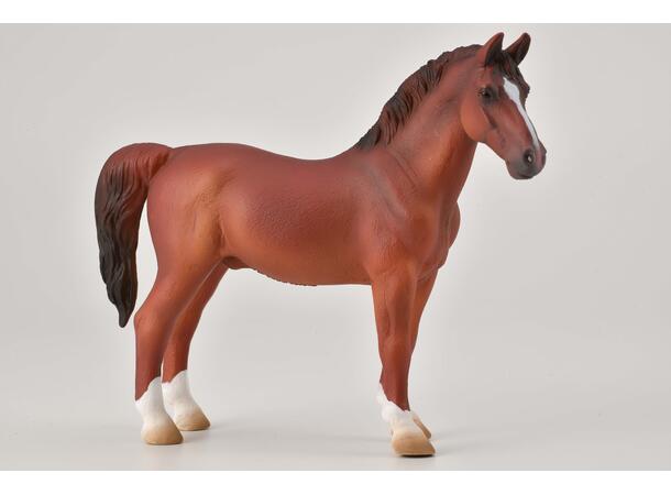HACKNEY STALLION 