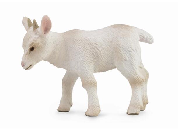 GOAT KID WALKING 