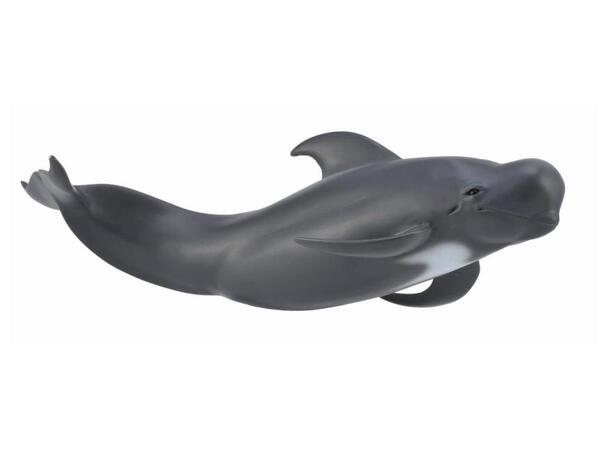 PILOT WHALE 