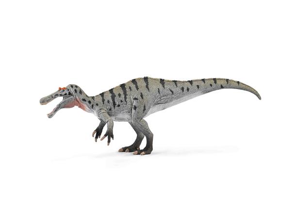 CERATOSUCHOPS WITH MOVABLE JAW 