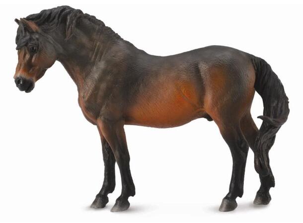 DARTMOOR PONNI SORT L COLLECTA 