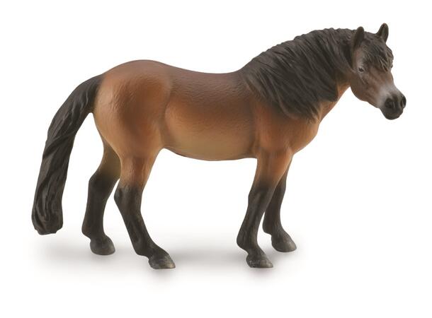 EXMOOR PONNI HINGST L COLLECTA 