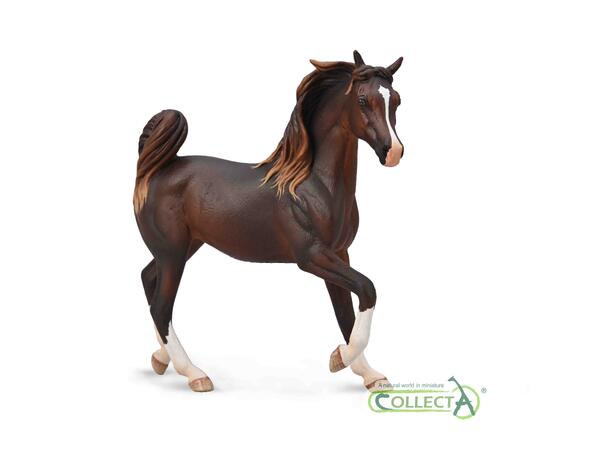 ARABIAN MARE LIVER CHESTNUT 
