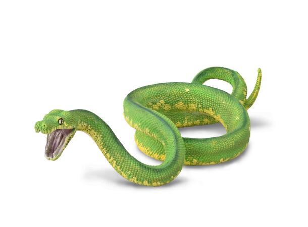 GREEN TREE PYTON COLLECTA 