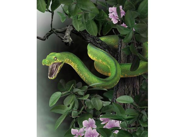 GREEN TREE PYTON COLLECTA 