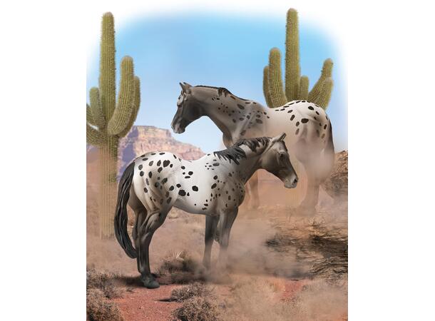 APPALOOSA BLUE ROAN 