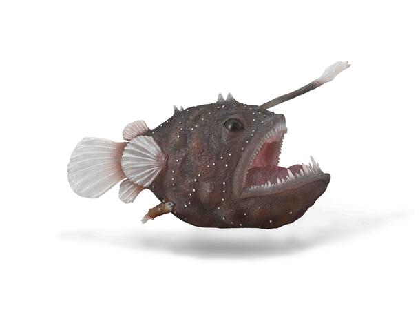DEEP SEA ANGLERFISH - XL COLLECTA 