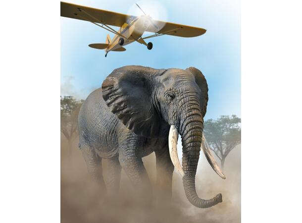 AFRIKANSK ELEFANT - XL COLLECTA 