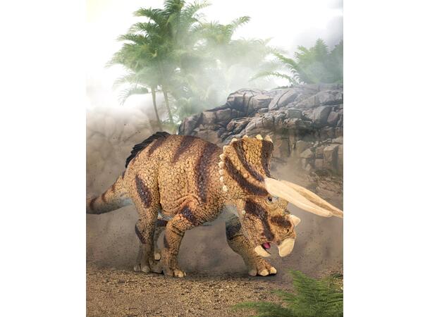 TRICERATOPS HORRIDUS L COLLECTA 