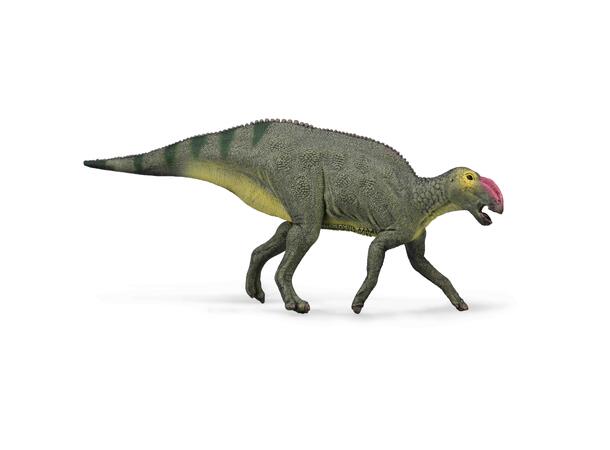 HADROSAURUS M COLLECTA 
