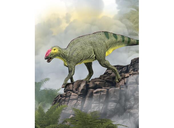 HADROSAURUS M COLLECTA 
