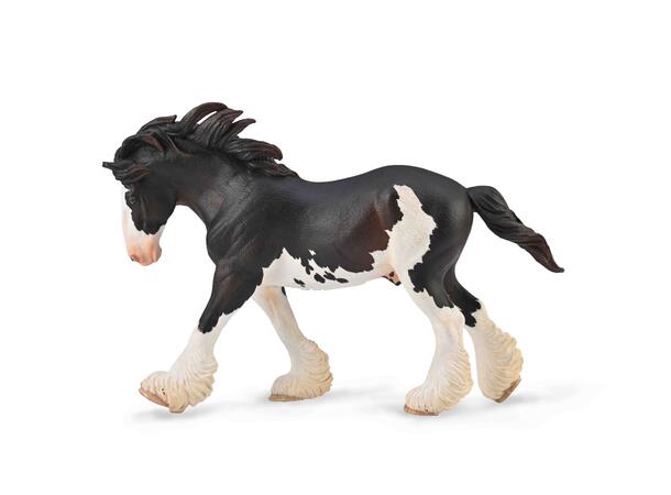 CLYDESDALE STALLION BLACK SABINO 