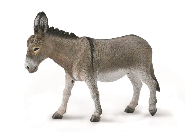 ESEL - L COLLECTA 