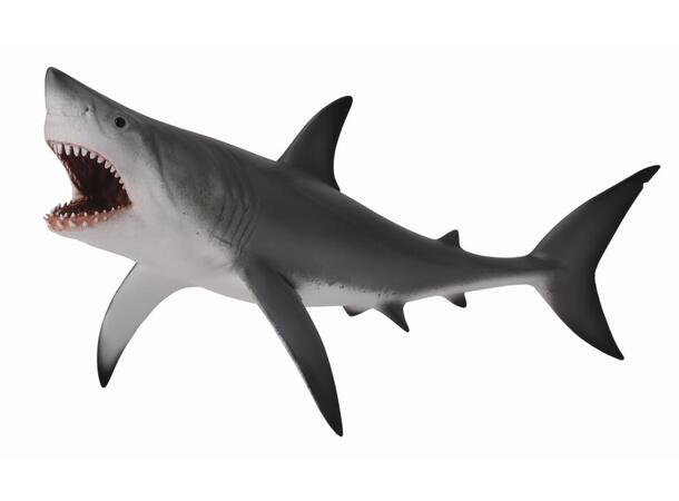 GREAT WHITE SHARK OPEN JAW 