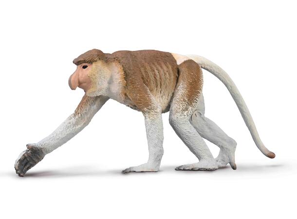 PROBOSCIS APE L COLLECTA 