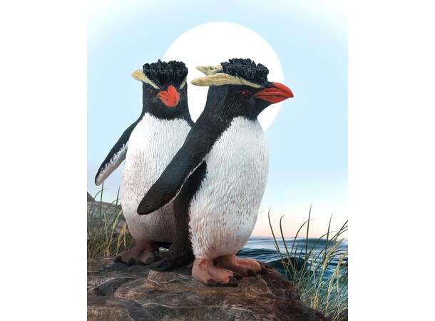 ROCKHOPPER PENGUIN 