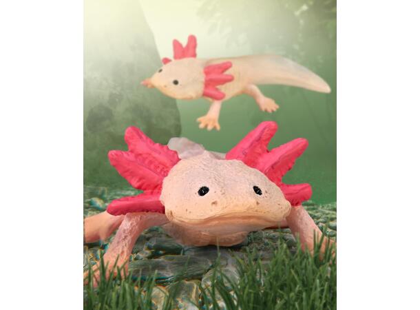 AXOLOTL M COLLECTA 