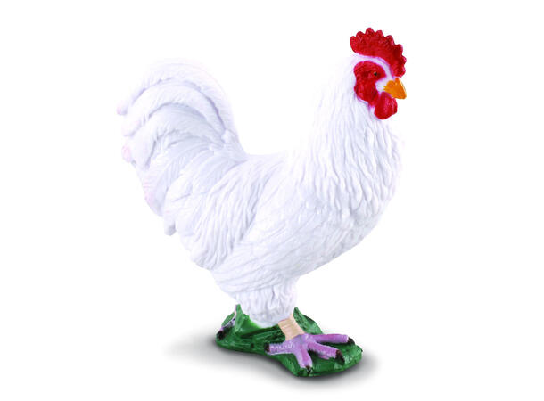COCKEREL WHITE 