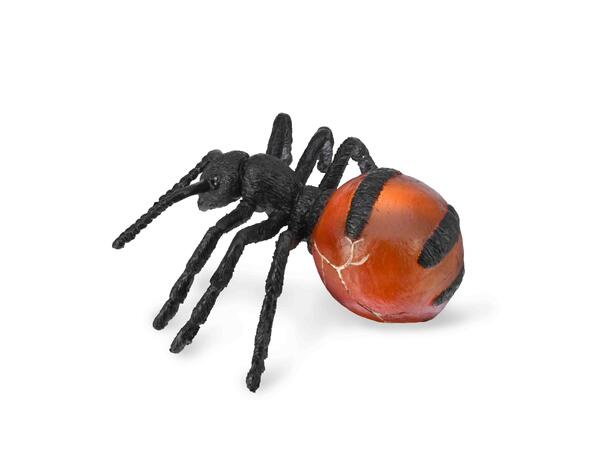 HONEYPOT ANT 