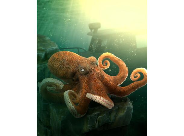 OCTOPUS 