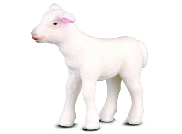 SAU LAM S 88009 COLLECTA 