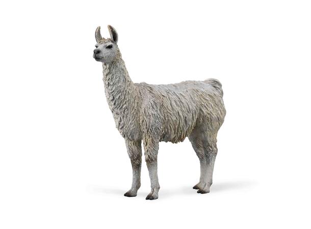 LAMA - M COLLECTA 