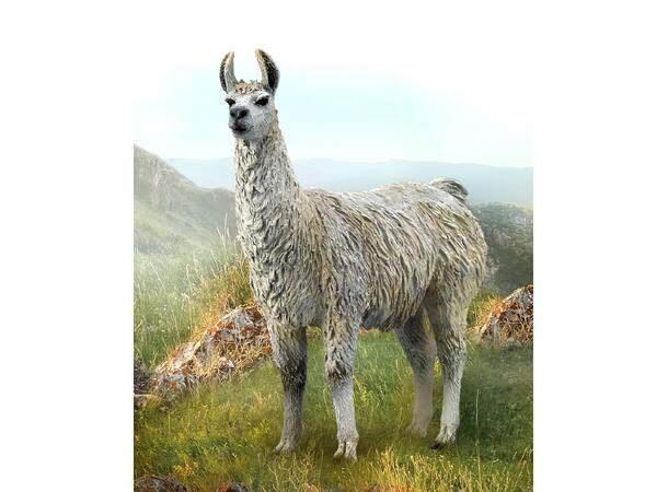LAMA - M COLLECTA 