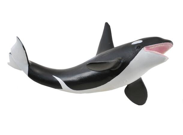 ORCA 
