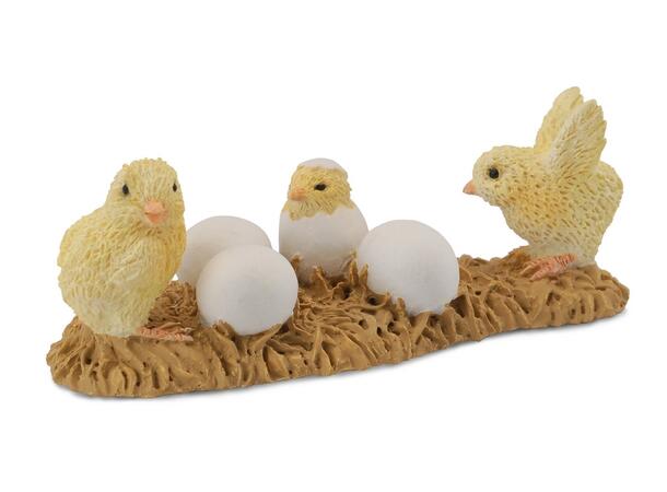 CHICKS HATCHING 