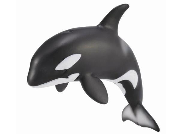 ORCA CALF 