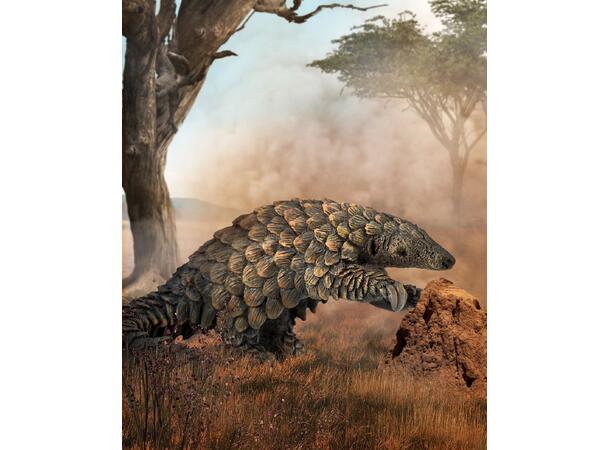 SKJELLDYR PANGOLIN - L COLLECTA 
